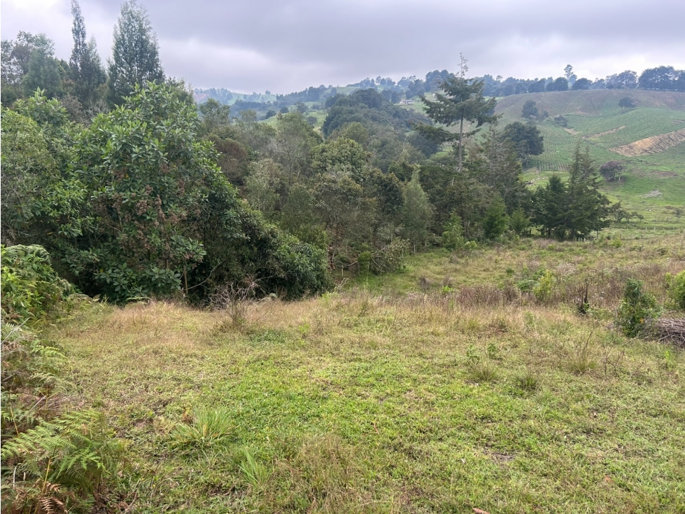 Lote en Venta Vereda el Espinal, San Pedro de Los Milagros — foto 4