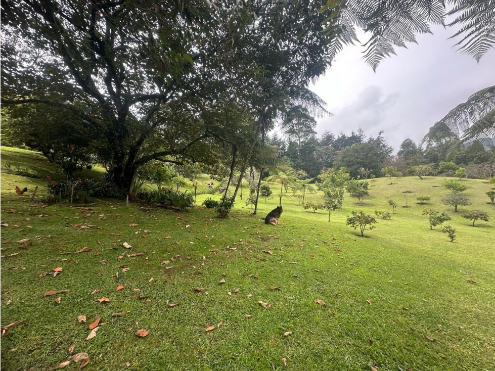 Lote en Venta, Sector La Querencia, Rionegro — foto 4