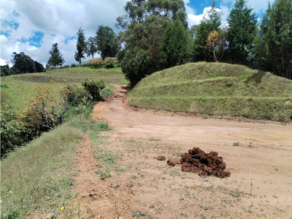 Lote campestre con vista única y fácil acceso vial, Guarne - La Mejía — foto 4