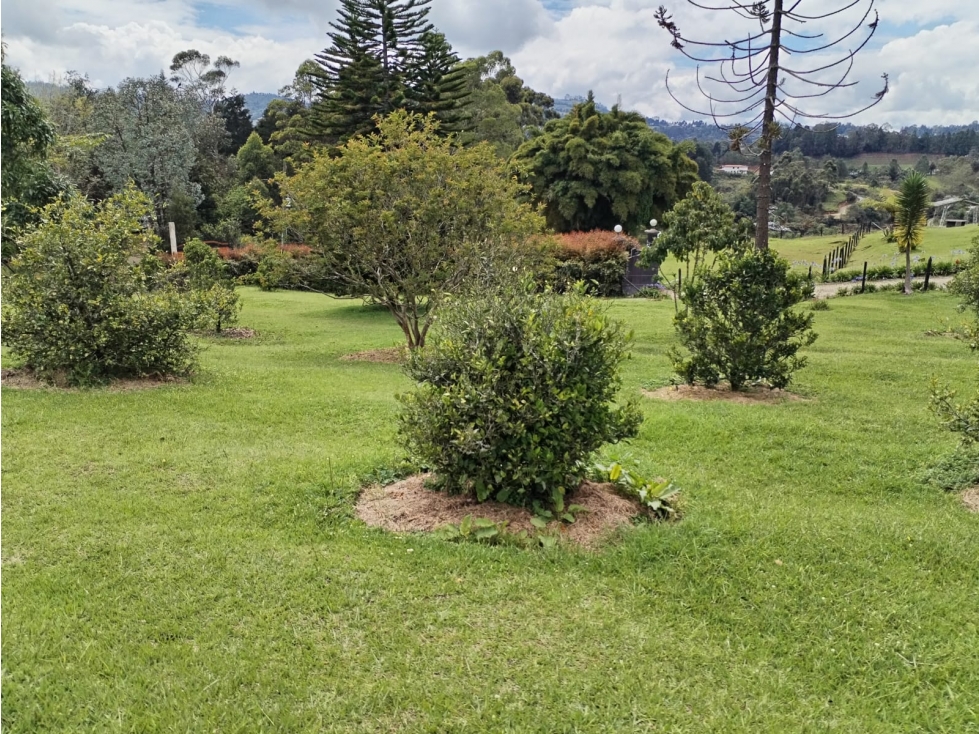 Lote en venta, Excelente ubicación y topografía, La Mejía - Guarne — foto 4