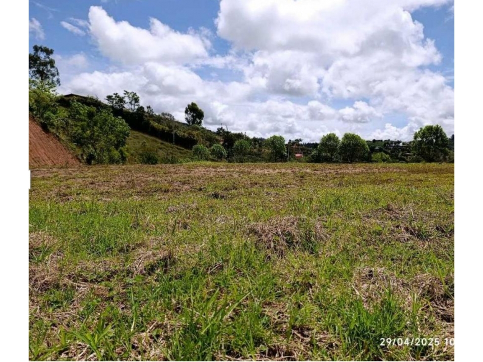 Lote en venta, vereda Chaparral sector Morales San Vicente — foto 4