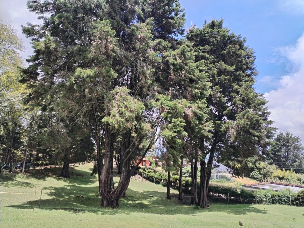 Lote en Venta sector Alto de la virgen Guarne — foto 4