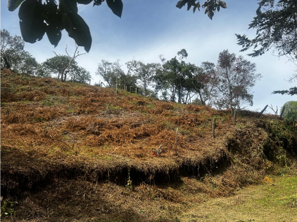 Lote en venta, sector San Joaquín, Ojo de Agua, Rionegro — foto 4