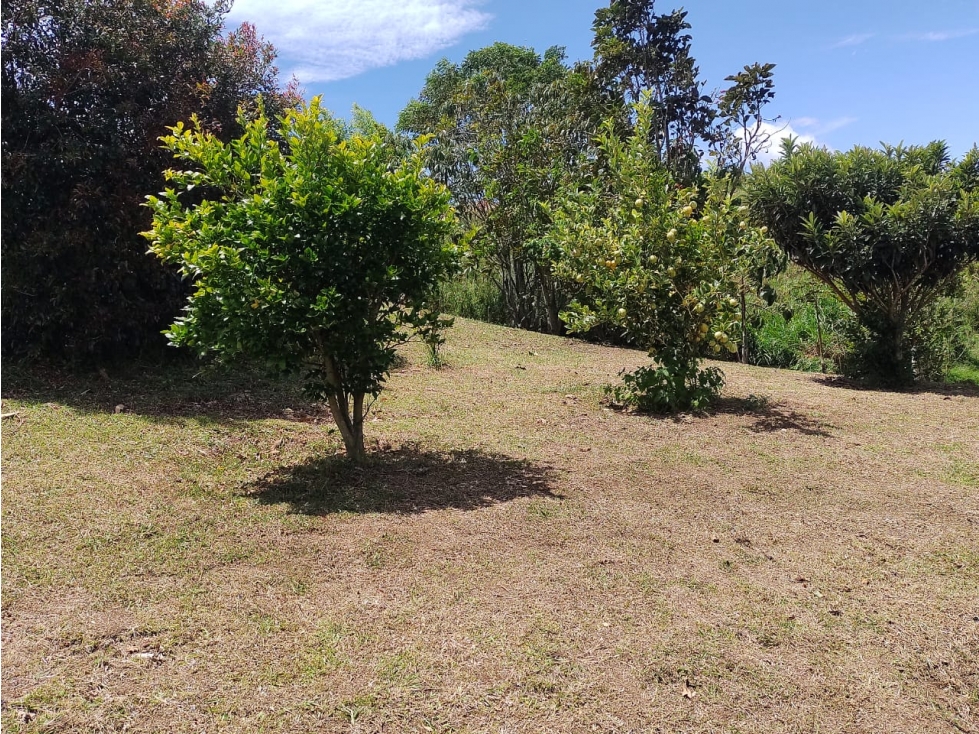 Casa Campestre en venta, sector Alto del Chocho, Marinilla — foto 3