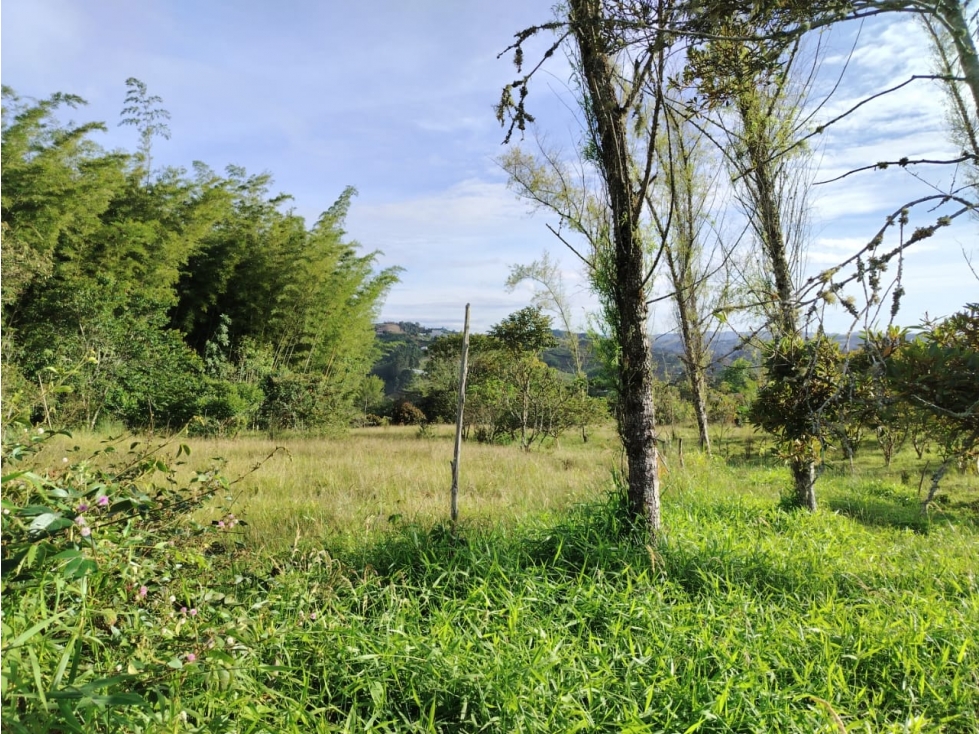 Finca en venta, sector El Rosario, Marinilla — foto 4