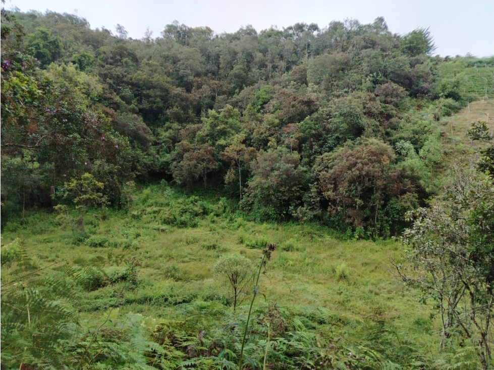 Lote en venta, sector Guaciru, San Vicente — foto 4