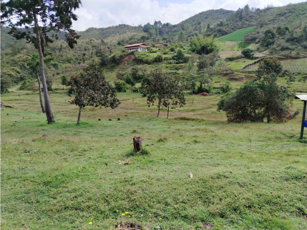 Lote en venta, sector La Magdalena, San Vicente — foto 4