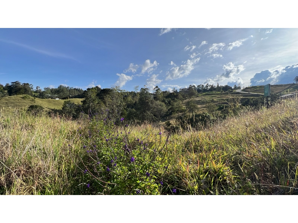 Lote en parcelación exclusiva en El Retiro Pantanillo — foto 4