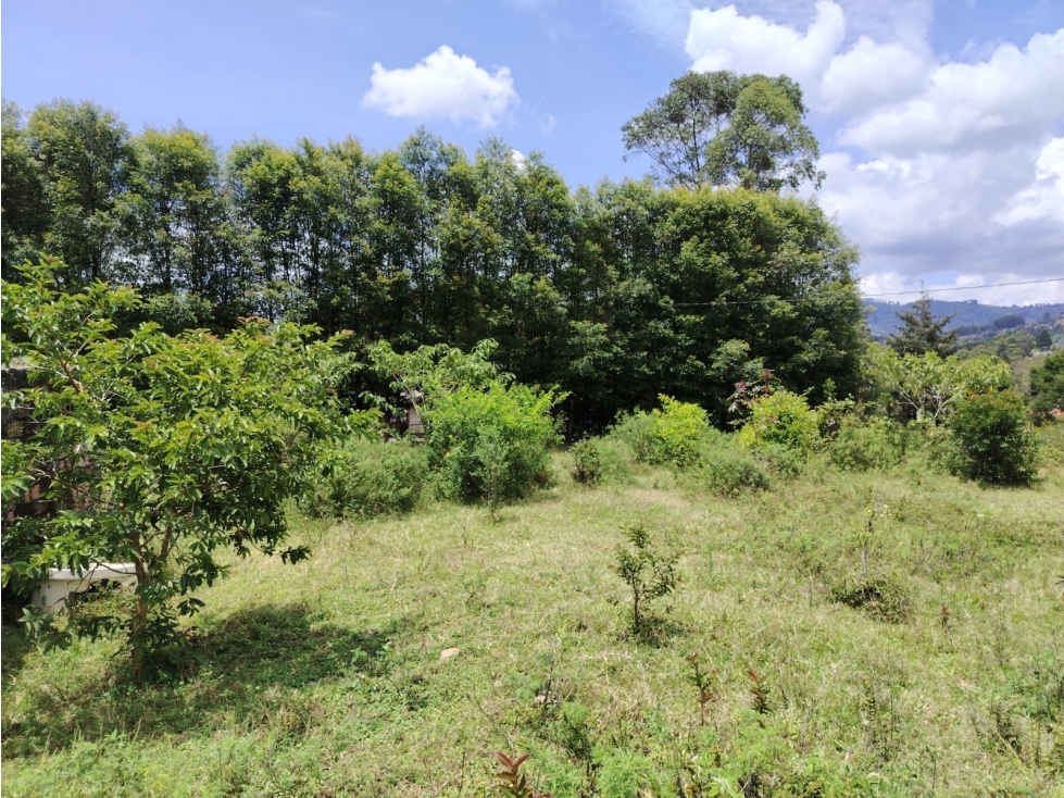 Lote en venta, sector Rancherías, Rionegro — foto 4