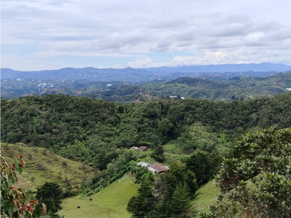 Casa lote en venta con bosque nativo, La Magdalena, San Vicente — foto 4