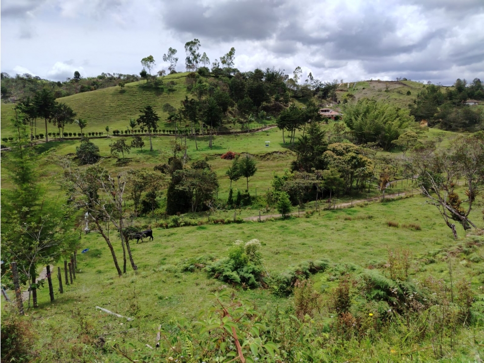 Lote en venta, sector La Magdalena, San Vicente — foto 4