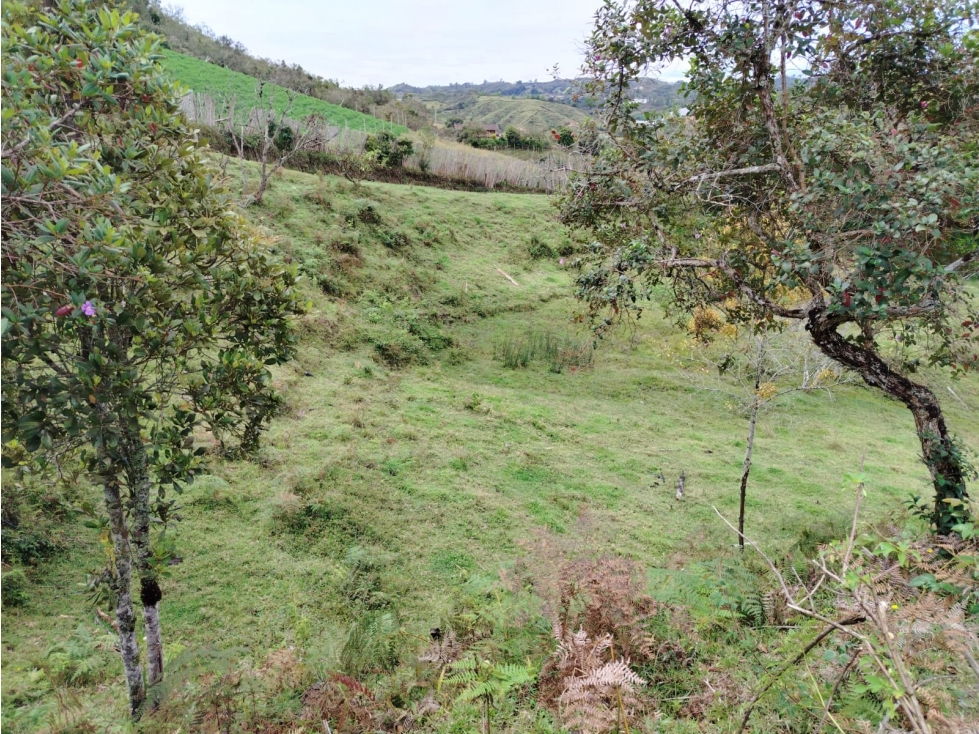 Lote con hermosa vista y agua natural en La Magdalena, San Vicente — foto 4