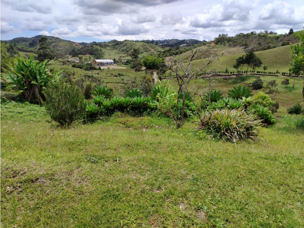 Casa lote en venta, sector La Magdalena, San Vicente — foto 5
