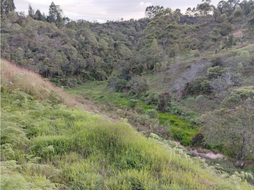 Lote en venta Sector El Rancherito, Guarne — foto 4