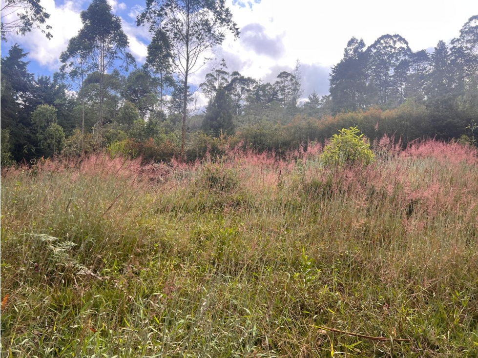 Lote con vista al Valle de San Nicolás, cerca al aeropuerto — foto 4