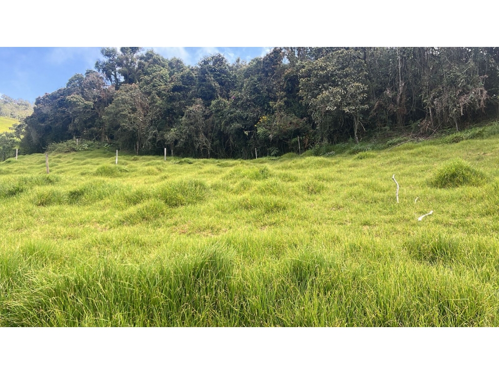 Lote en venta, Vereda Alto de La Virgen, Guarne — foto 4