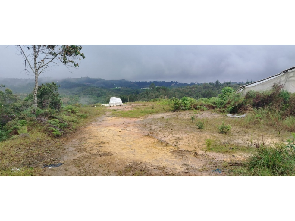 Finca agrícola en venta, con alto potencial productivo en San Vicente — foto 4