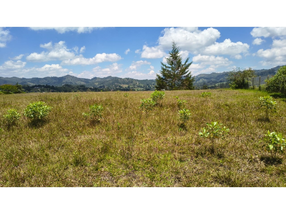 Lote en venta, en la mejor parcelación de El Retiro - Pantanillo — foto 4