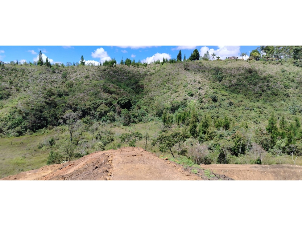 Lote en venta, sector Hojas Anchas, Guarne — foto 4