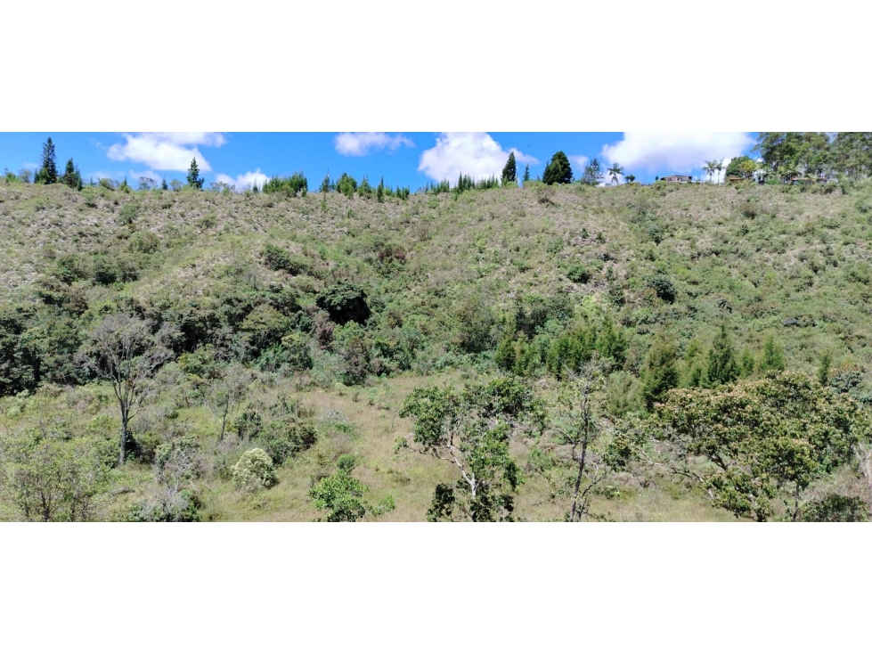 Lote campestre en preventa | 1.600 m² | Conectividad y entorno natural — foto 4