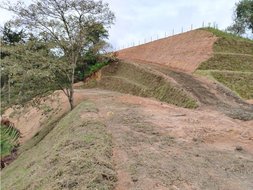 Lote en venta sector La Magdalena, San Vicente — foto 4
