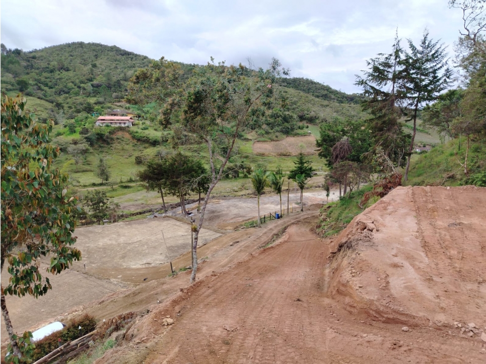 Lote en venta sector, La Magdalena, San Vicente — foto 4