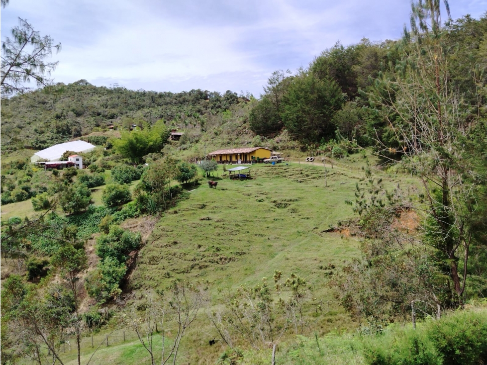 Finca en venta, sector Santa Ana, San Vicente — foto 4