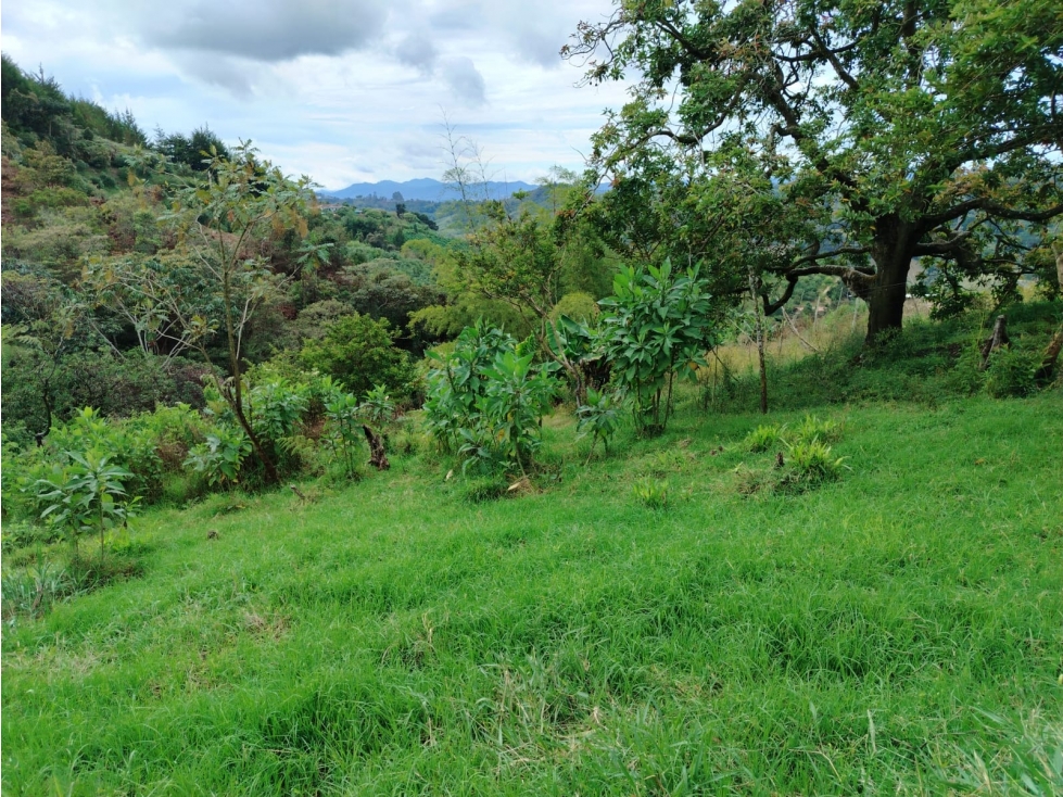 finca en venta sector el Porvenir, San Vicente — foto 4