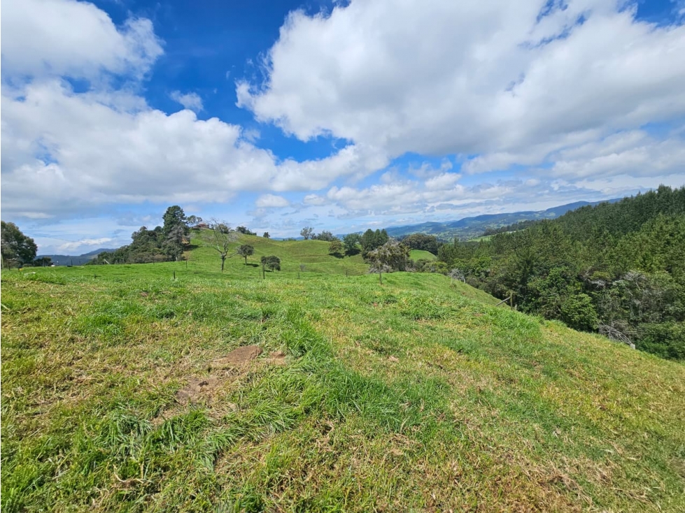 Lote en venta vereda Zafra, San Pedro de los Milagros — foto 4