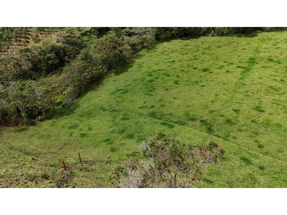 Lote campestre en condominio exclusivo Don Diego a La Ceja — foto 4