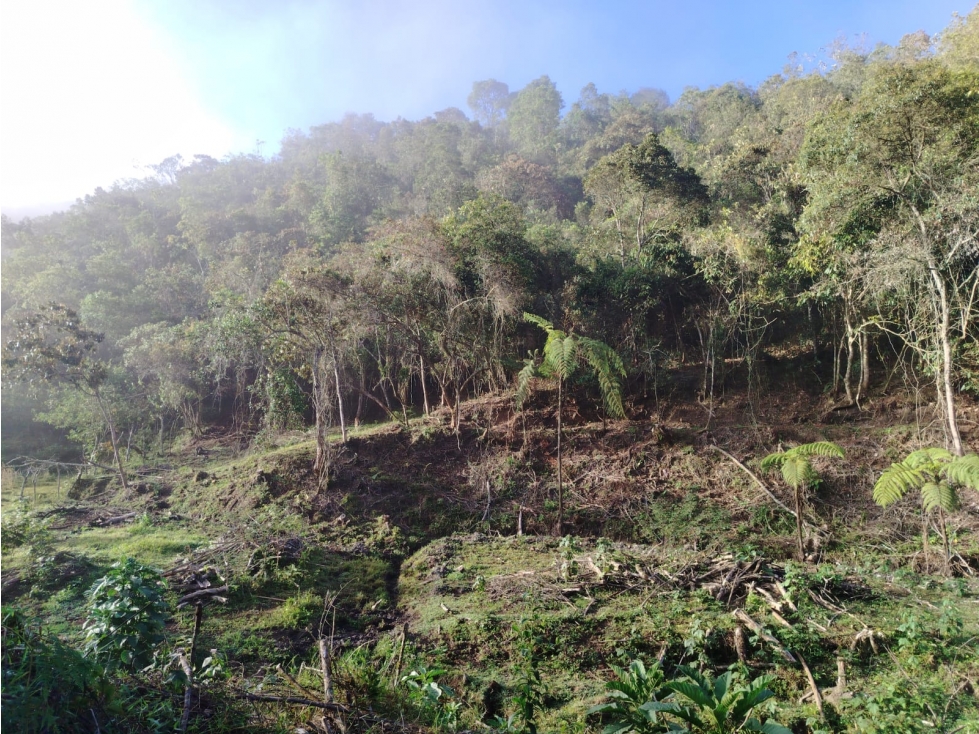 Lote campestre en San Vicente Ferrer | ¡Construye tu proyecto soñado! — foto 5