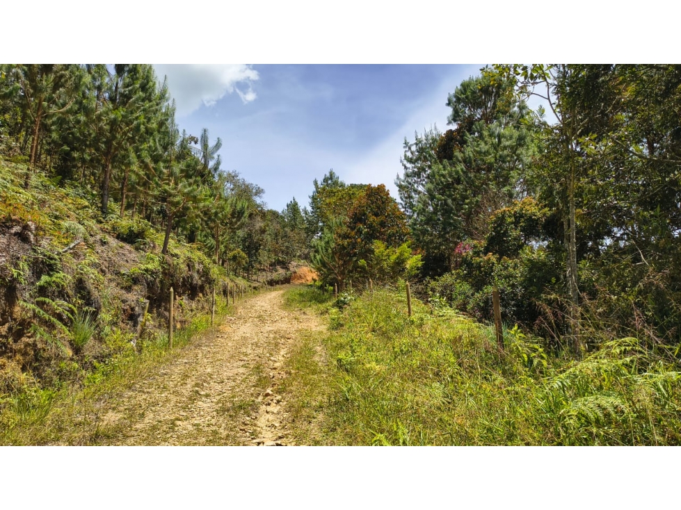 Lote en venta sector La Pastorcita, Guarne — foto 4