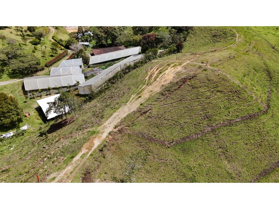 Lote en venta via don Diego La Ceja, El Retiro — foto 4