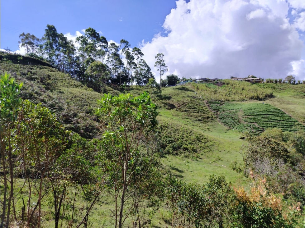 Lote campestre en venta, sector El Porvenir, San Vicente — foto 4