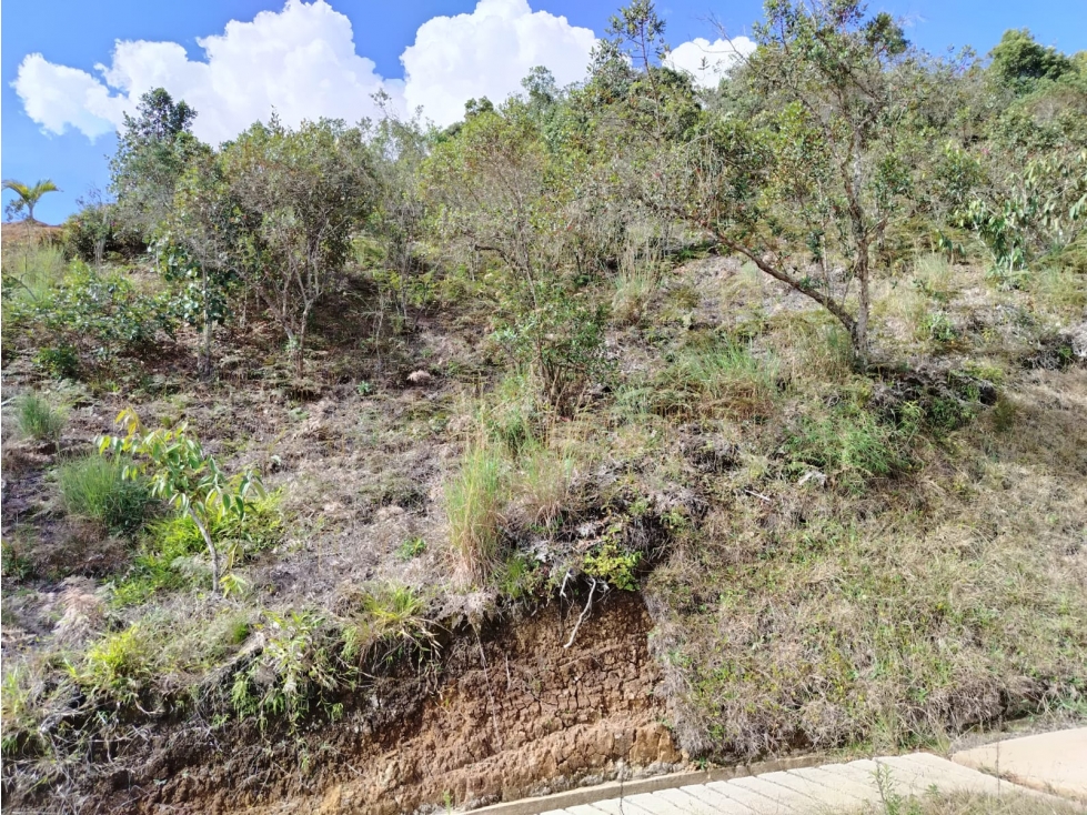 Lote Campestre en Venta, sector El Porvenir, San Vicente - 4