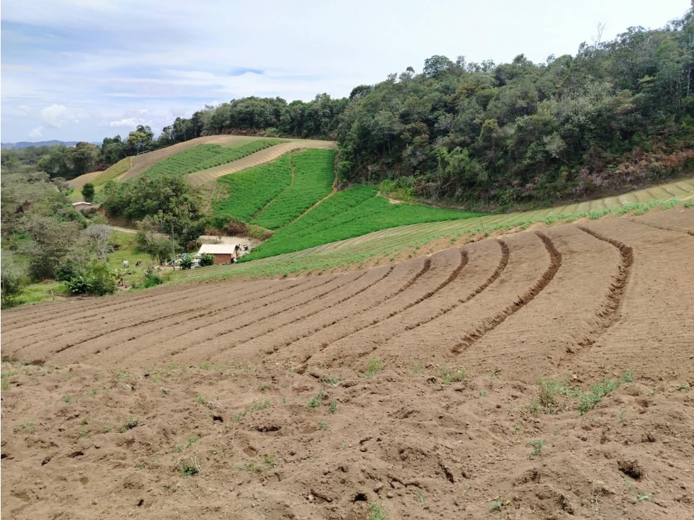 Casa lote agrícola en venta, sector bodegas, El Santuario - 5