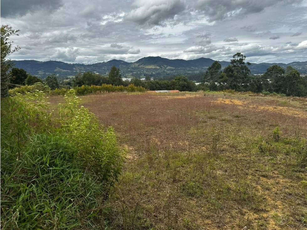 Lote campestre en venta vereda Guamito, La Ceja — foto 4