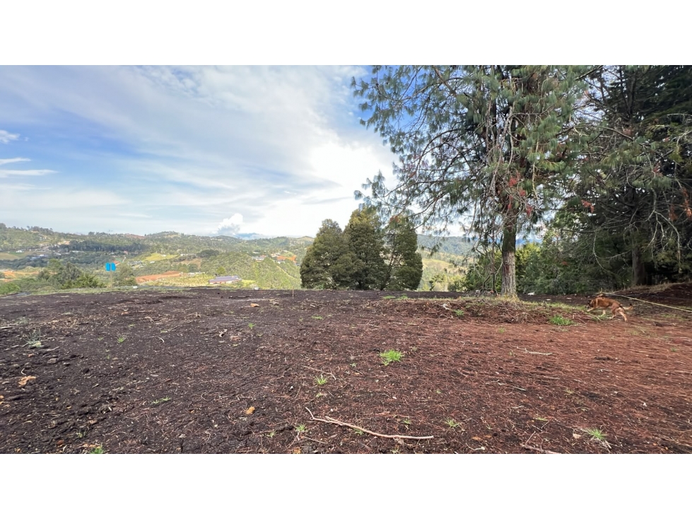 Lote campestre en venta, Alto de Palmas, Envigado - 4