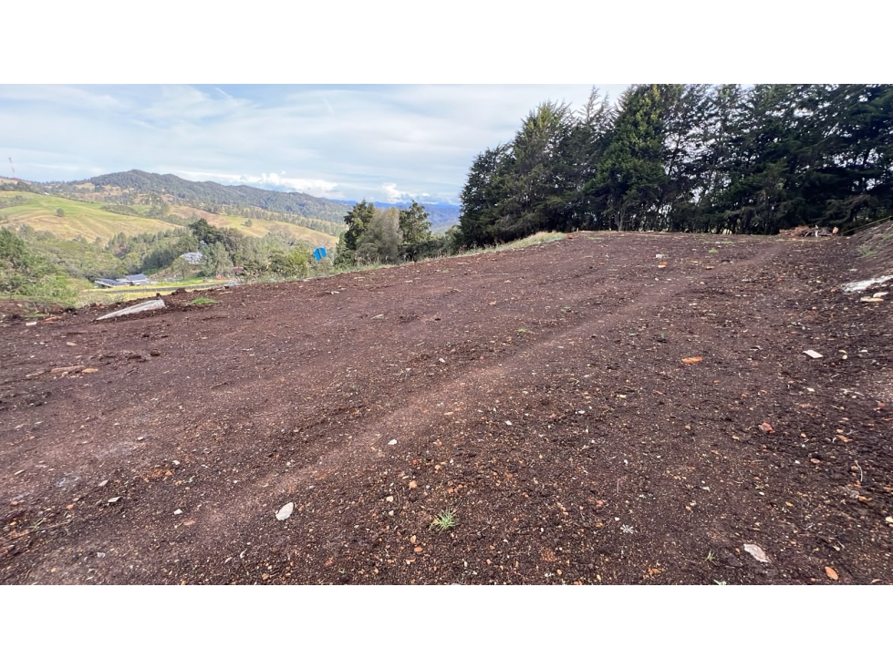 Lote campestre en venta sector Alto de Palmas, Envigado - 4