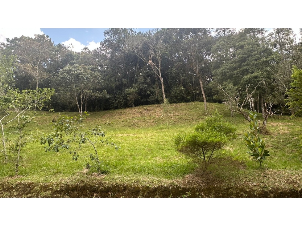 Lote campestre en venta, vía El Retiro La Ceja sector Pantanillo - 4
