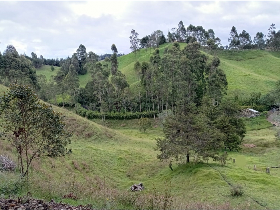 Lote en Venta Vía el Retiro - La Ceja en Pantanillo Parcelación Nueva — foto 6