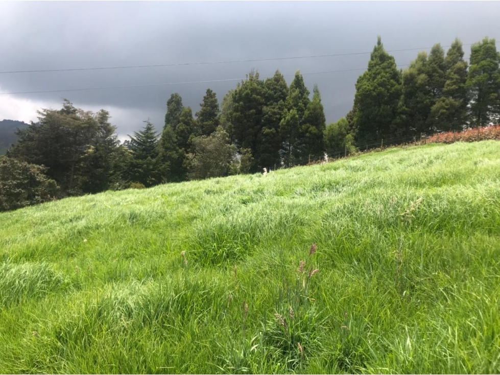 Lote en Venta en San Pedro de los Milagros Vereda La Pulgarina — foto 5