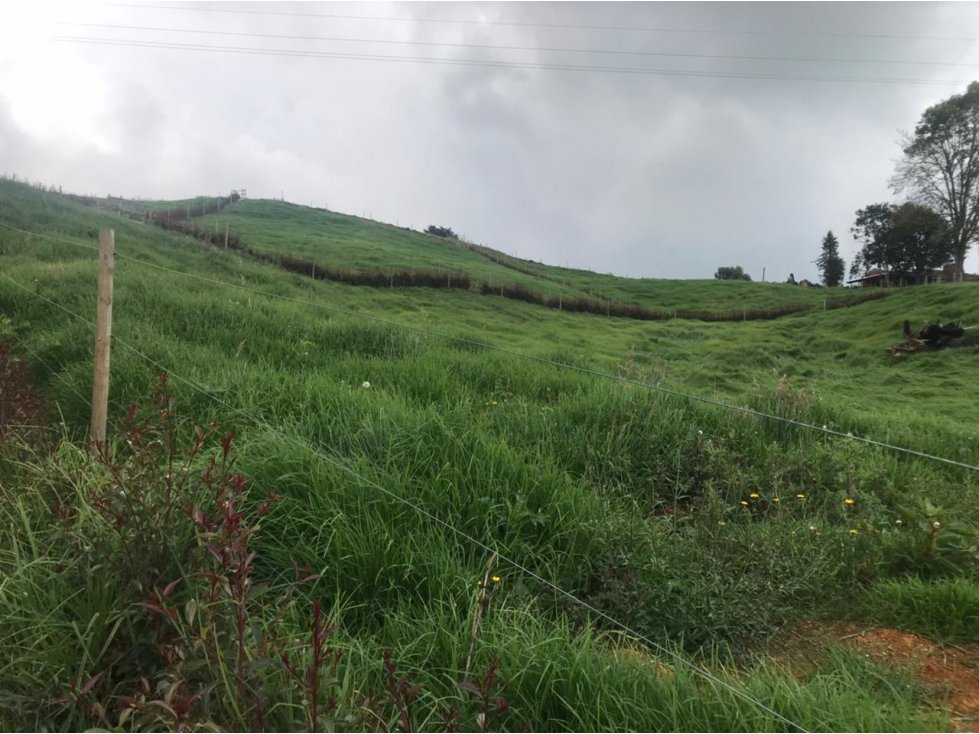 Lote en Venta en San Pedro de los Milagros Vereda La Pulgarina — foto 4