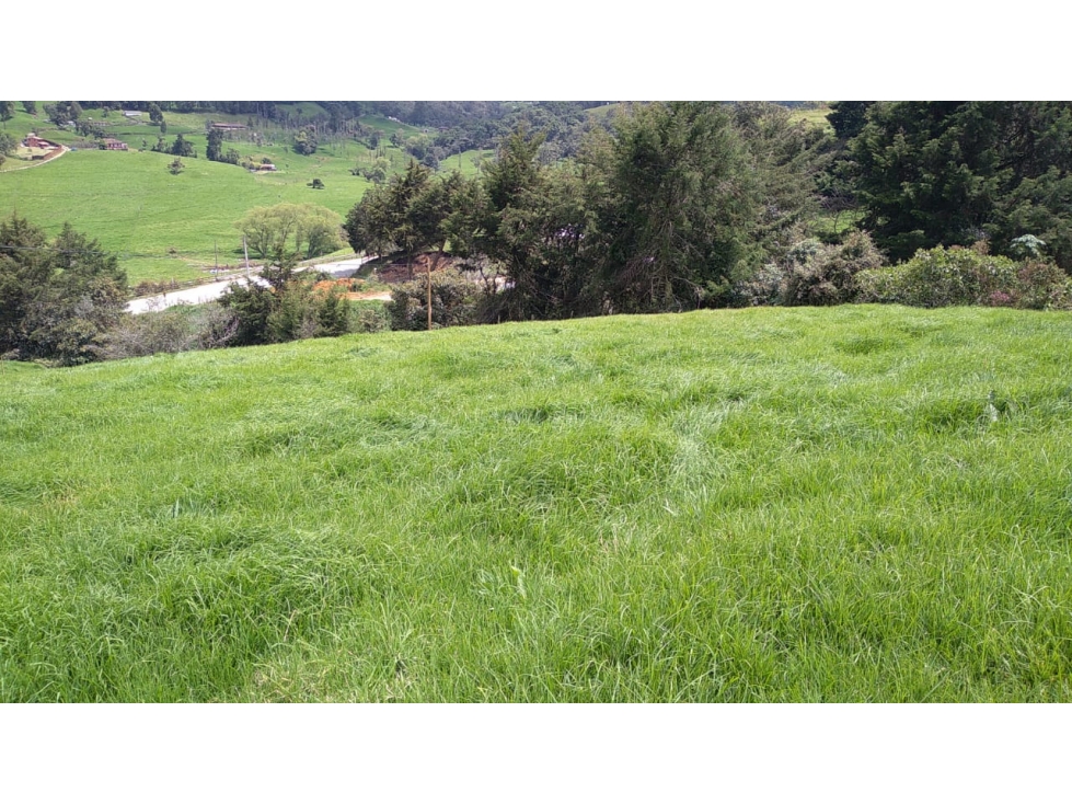 Lote en Venta en San Pedro de los Milagros Vereda La Pulgarina — foto 4