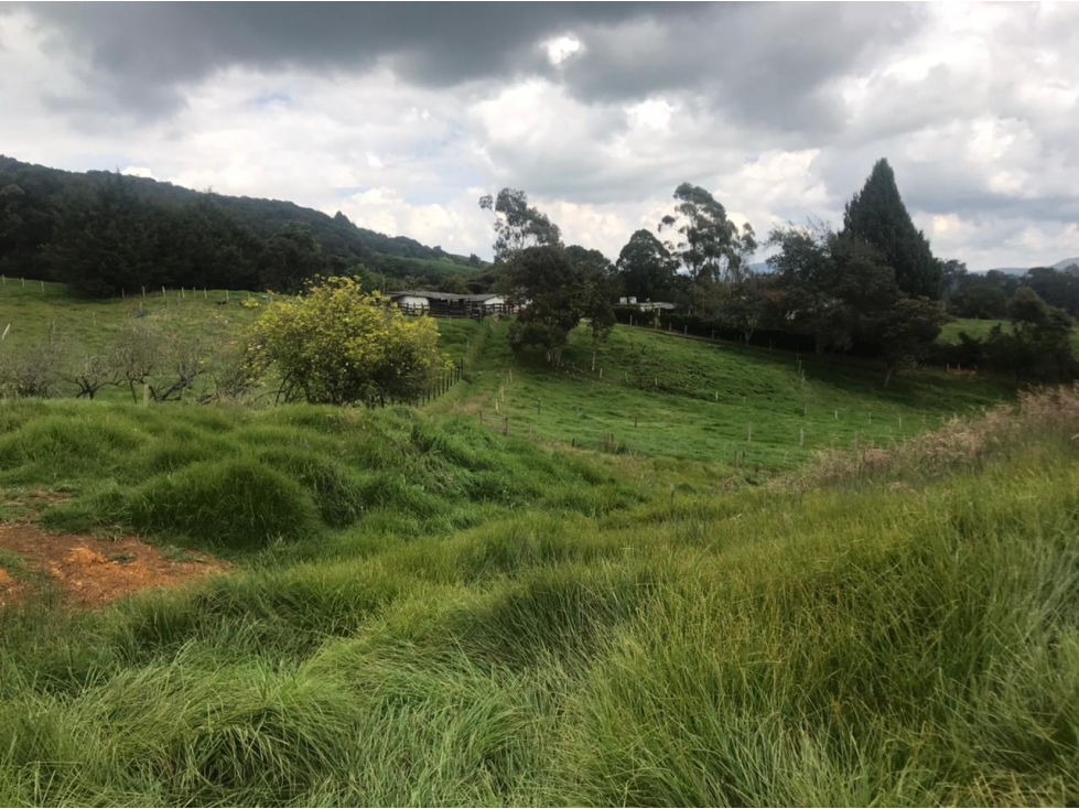 Lote en Venta Vereda La Pulgarina en San Pedro de los Milagros — foto 2