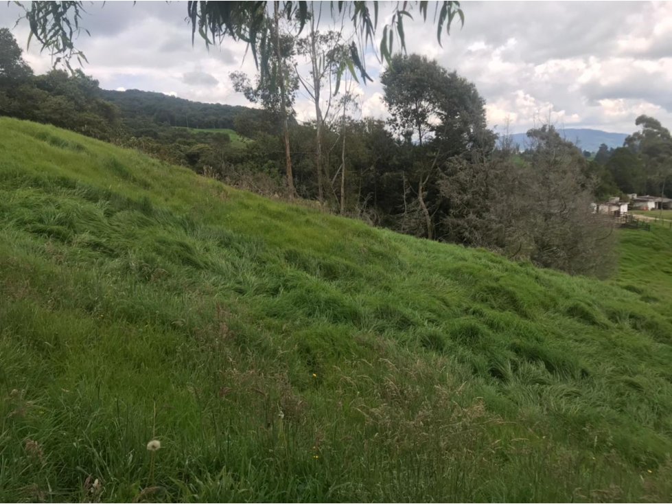 Lote en Venta Vereda La Pulgarina en San Pedro de los Milagros — foto 5
