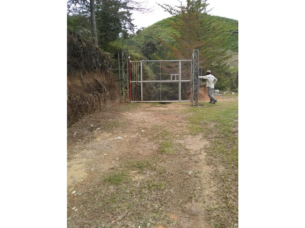 Lote en Venta vereda Guamito en El Peñol - 5