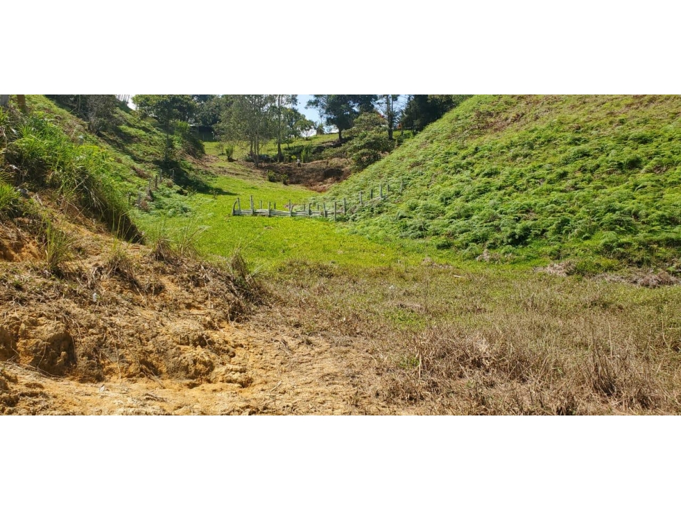 Lote en Venta sector El Uvital en El Peñol - 2