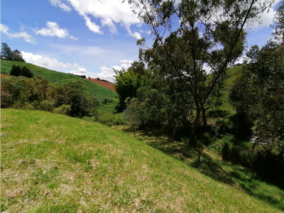 Lote en Venta Sector el Canadá, El Carmen de Viboral - 5