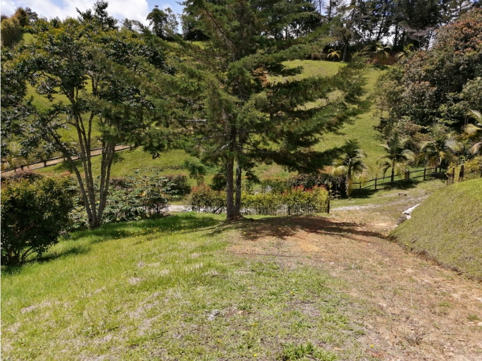 Lote en Venta Sector el Canadá en El Carmen de Viboral — foto 5
